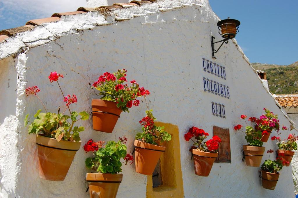Villa Cortijo Pulgarín Bajo Alfarnatejo Habitación foto